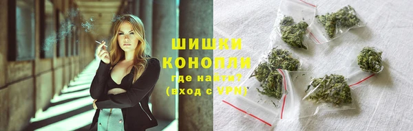PSILOCYBIN Алзамай