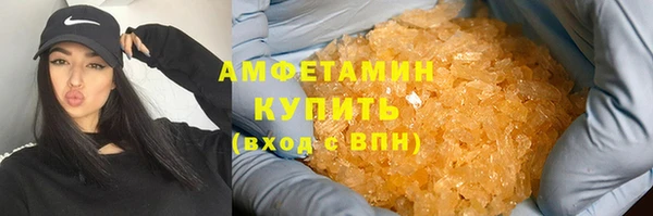PSILOCYBIN Алзамай