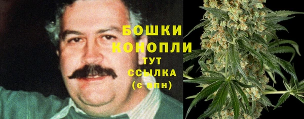 PSILOCYBIN Алзамай