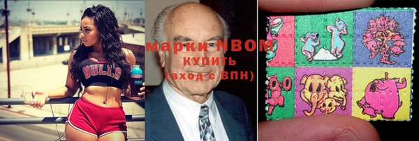 PSILOCYBIN Алзамай