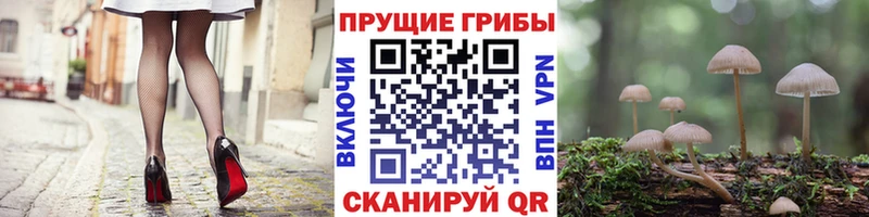 Галлюциногенные грибы мицелий  хочу наркоту  Ликино-Дулёво 